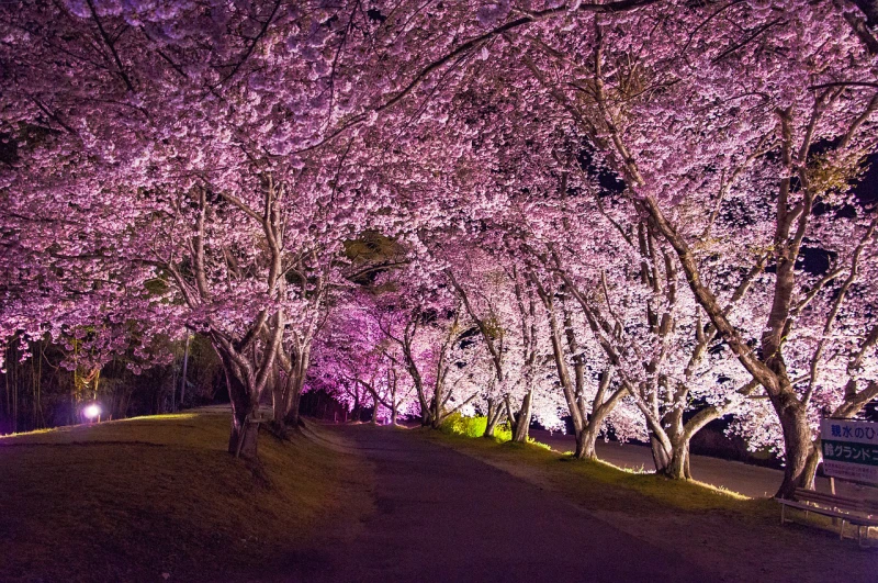 Top-10-Best-Cities-To-Visit-When-in-Wondrous-Japan.jpeg
