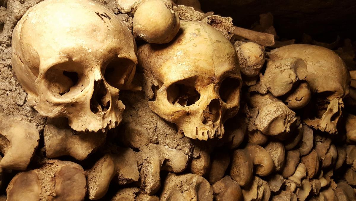 Top 10 Most Bizarre Tourist Attractions That Will Attack Your Senses