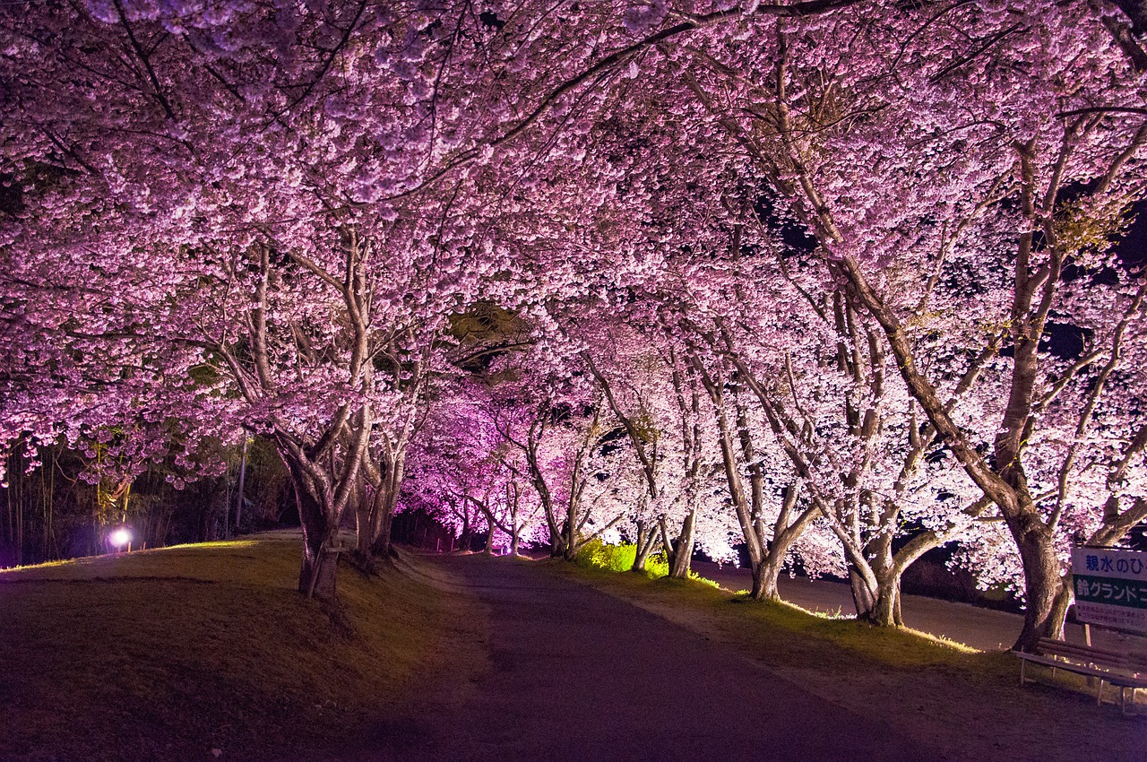Top 10 Wondrous Japan Cities