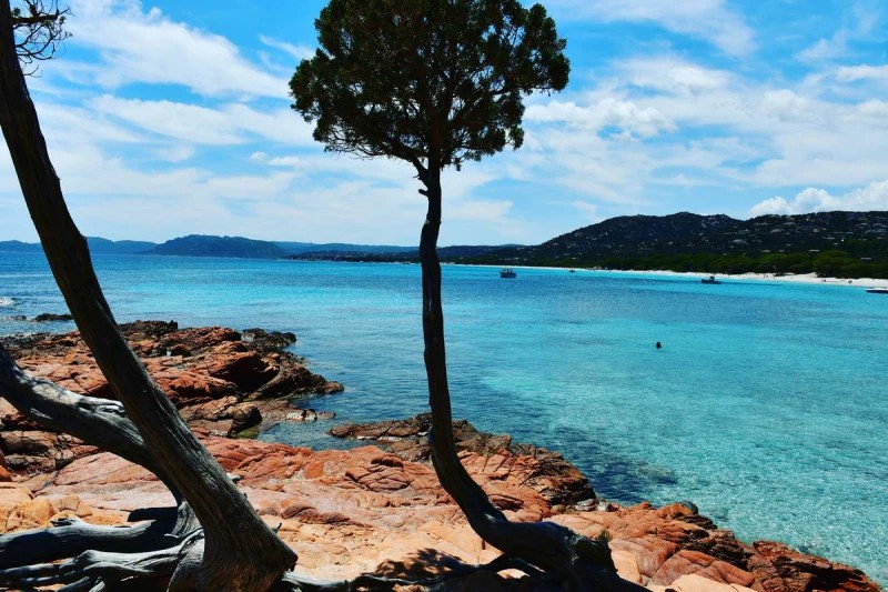 Palombaggia Beach on Corsica