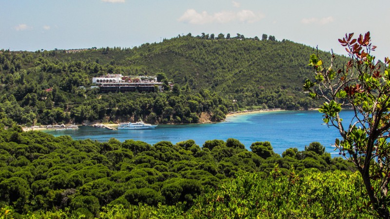 Koukonaries beach surrounded by pine forest at Skiathos Island, Greece.