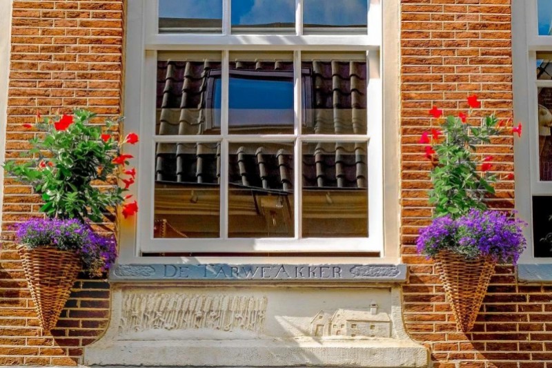 A window with flowers in Jordaan Neighborhood in Amsterdam, The Netherlands