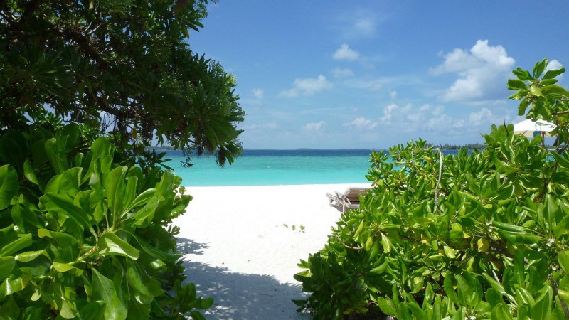 White sandy beach in Maldives