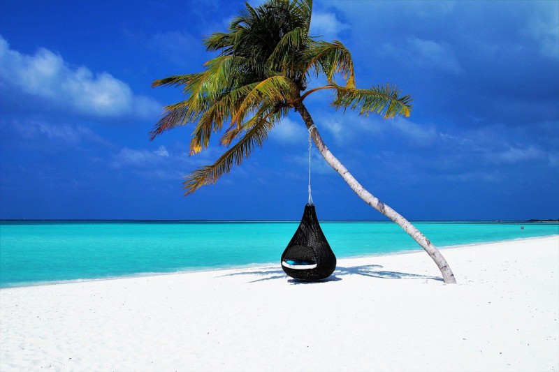 A palm tree and hammock on the white sandy shore in the Maldives