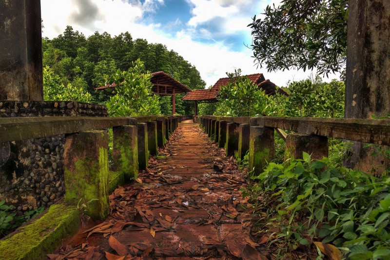 Pedesetrian bridge in mangrove forest, Koh Chang, Thailand