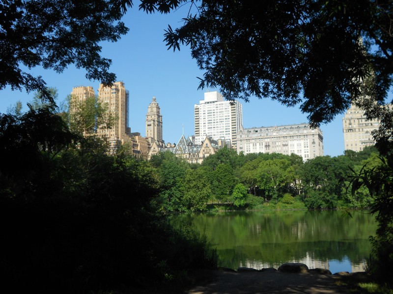 Central Park in New York City