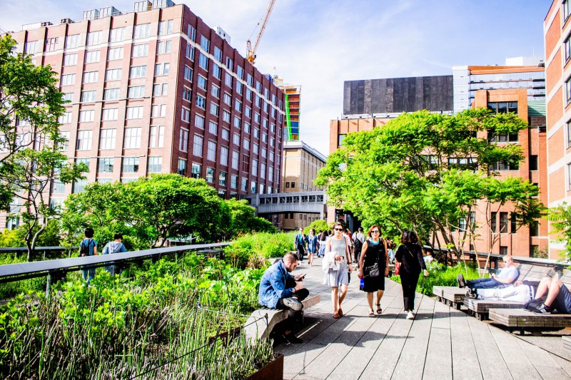 Unique High Line park in New York City