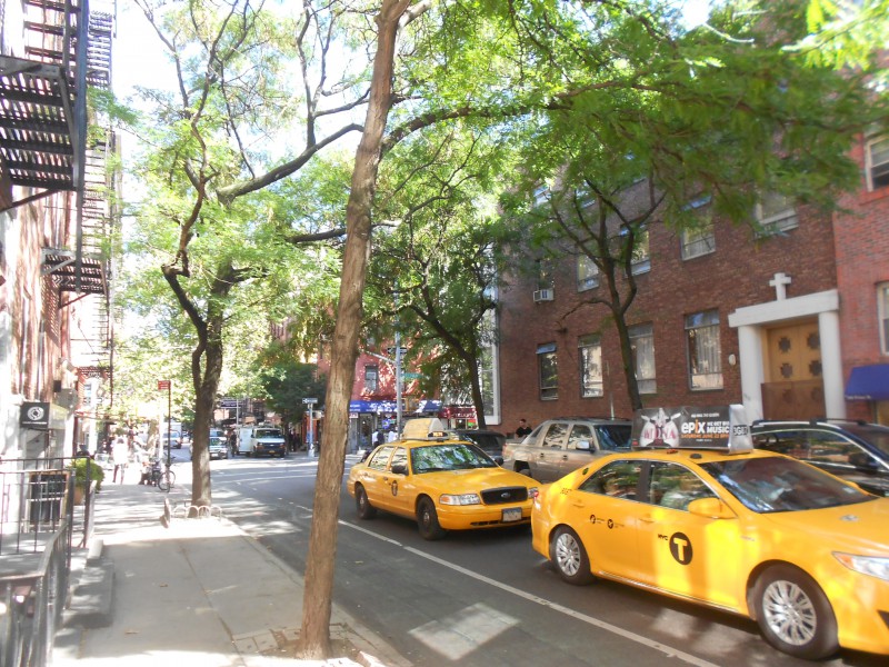 Yellow cabs in New York City